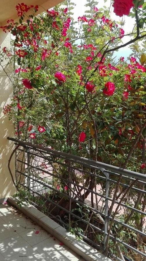 Апартаменты Bečići Sunset Apartments Бечичи-24