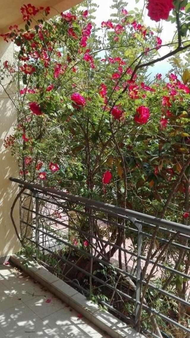 Апартаменты Bečići Sunset Apartments Бечичи-45